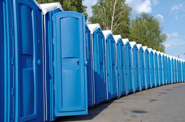 Best Affordable portable toilet rental  in Roscommon, MI